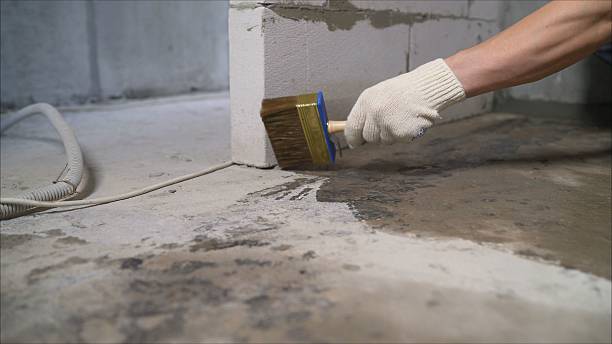 24/7 Emergency Exterior Waterproofing experts in Telford, TN